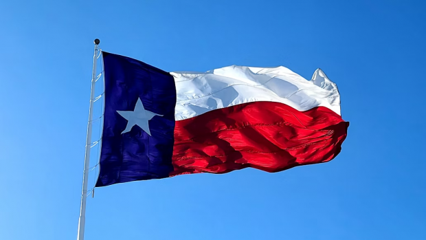Texas Ban on Diversity Initiatives Reflects Trend Across GOP States