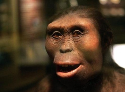 Neanderthal Extinction Caused By Herpes, Tuberculosis From Humans [Study]