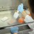 HIV Cure: Scientists Use Editing Technology to Cut HIV DNA