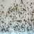 Zika Alert: First Zika Case in Hong Kong Confirmed; First Case of Sexual Zika Transmission Shows No Symptoms?[VIDEO]