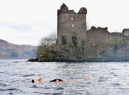 Real-Life 'Nessie' Had Been Found, Scottish Sea Monster Believed To Have Lived 170 Million Years Ago