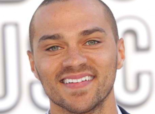 Grey's Anatomy Jesse Williams: Separated and Unequal Education System Alive and Well