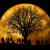 Do Bad Things Really Happen On A Full Moon: Check Out What Medical And Academic Figures Have To Say [VIDEO]