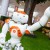 Artificial Intelligence Robot Failed Entry At University Of Tokyo