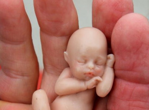 Indiana University Caught Purchasing Brains of Aborted Babies for $200