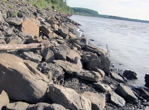 Alaska Museum Researchers Find Fossilized Dinosaur Footprints along Yukon River