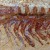 Earliest Known Central Nervous System Found In 520-Million-Year-Old Arthropod Fossil