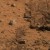 Remembering Spirit: NASA's Mars Rover Celebrates 13th Anniversary