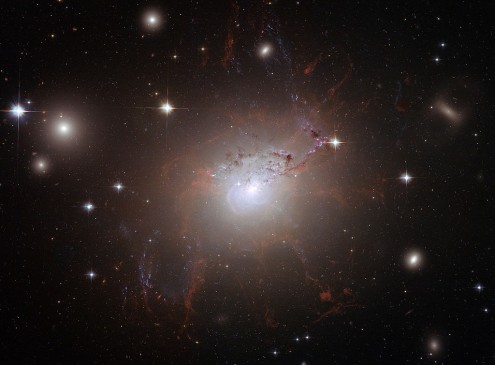 NASA Shares Photo Of Hundreds Of Massive Black Holes