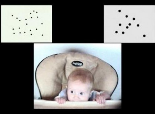 Innate Number Sense in Babies Predicts Its Future Mathematical Skills, Study