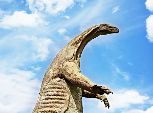 ‘Squishier Joints’ Allowed Dinosaurs to Grow To a Gigantic Size, Study