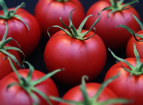 University Of Florida Researchers To Bring Back The Tomato's Flavor