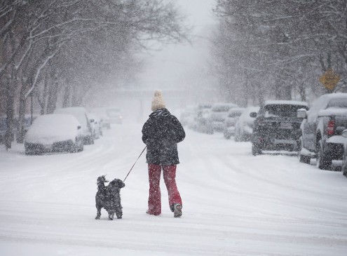 Northeast Colleges Close Due To Winter Storm Niko