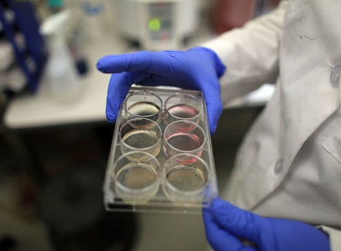 Stem Cell Therapy Binds The Cord To Mend Broken Hearts