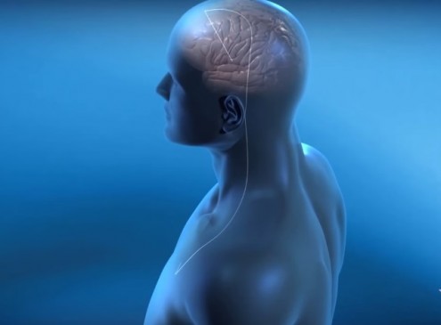 Deep Brain Stimulation For Anorexia Therapy A Possibility