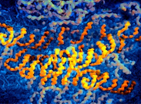 UC San Diego Bioengineers Develops New Tool To Map RNA-DNA Interaction