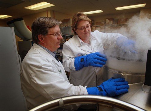 University Of Minnesota Researchers Find New Method To Warm Cryogenically Frozen Tissue