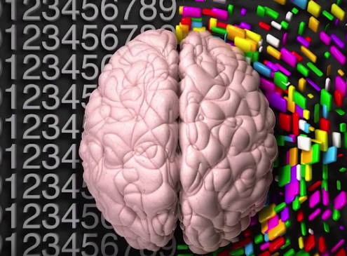 Duke University Study: Creative People Have A Better Connected Brain