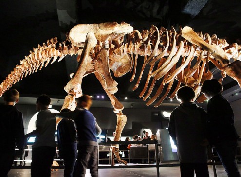 New Study Shakes Up The Roots Of The Dinosaur Family Tree [VIDEO]