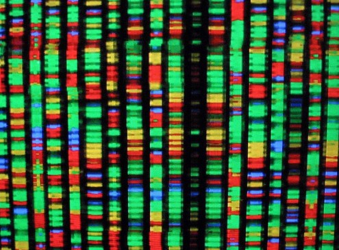 Breakthrough in DNA Repair Cellular Aging Achieved