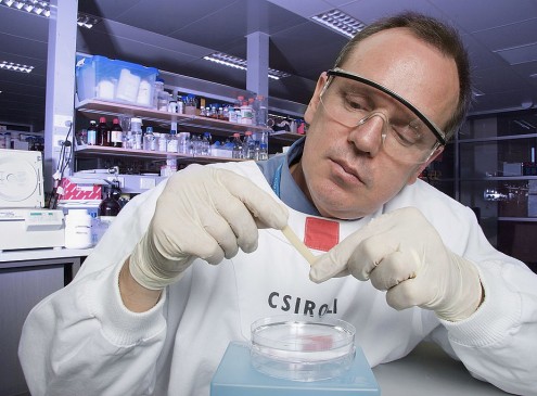 UC Berkeley Should Get CRISPR Broad Patent, European Patent Office Suggests