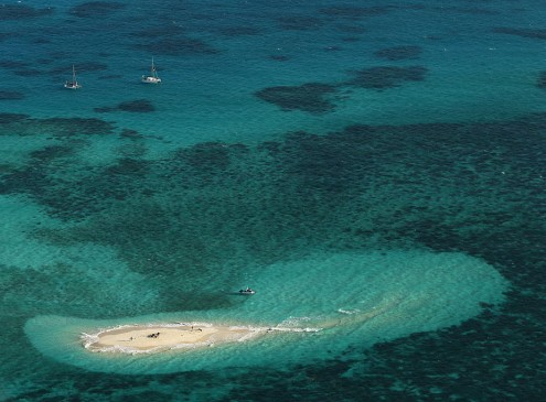 Saving the Great Reef Barrier May Be Too Late; Some Parts Have Zero Chance of Recovery [Video]