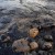 Scientists Develops New Method That May Clean Oil Spills Using Light [VIDEO]
