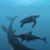 Lund Researchers Determine the Color of Ancient Marine Reptiles