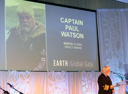 Captain Paul Watson Of Sea Shepherd Reveals Story Behind His Obsession For Whales [VIDEO]