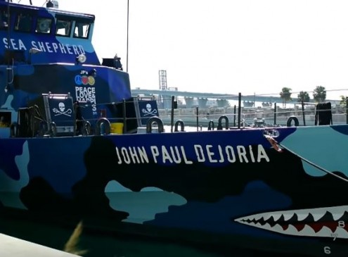 Sea Shepherd Vessel Boarded By 'Armed Forces' In Costa Rica; What Are They Up To [VIDEO]