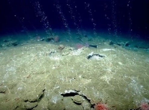 Methane Explosions Create Hundreds Of Giant Seafloor Holes [VIDEO]