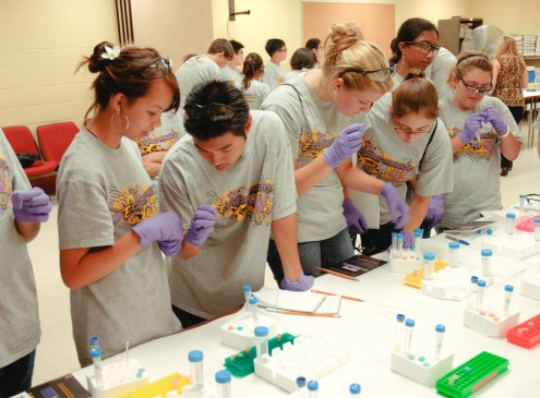 Research Reveals Boys' Interest In STEM Careers Declining; Girls' Interest Unchanged