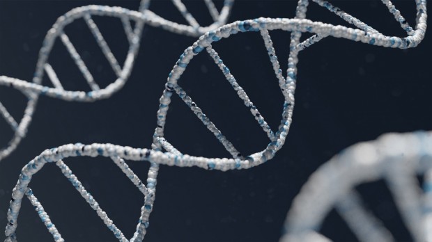 What Role Do Epigenetics Play in Whole Genome Sequencing Research?