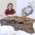 Calgary Paleontologists Discover Massive Horned Dinosaur Skull in Alberta 