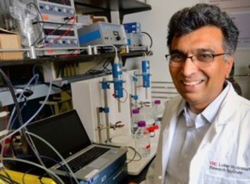 USC researchers Create Cheap Organic Batteries from Eco-Friendly Components